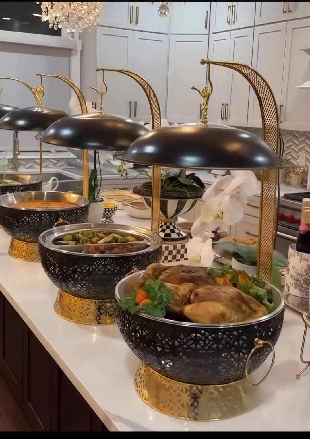 Black Lattice Chafer